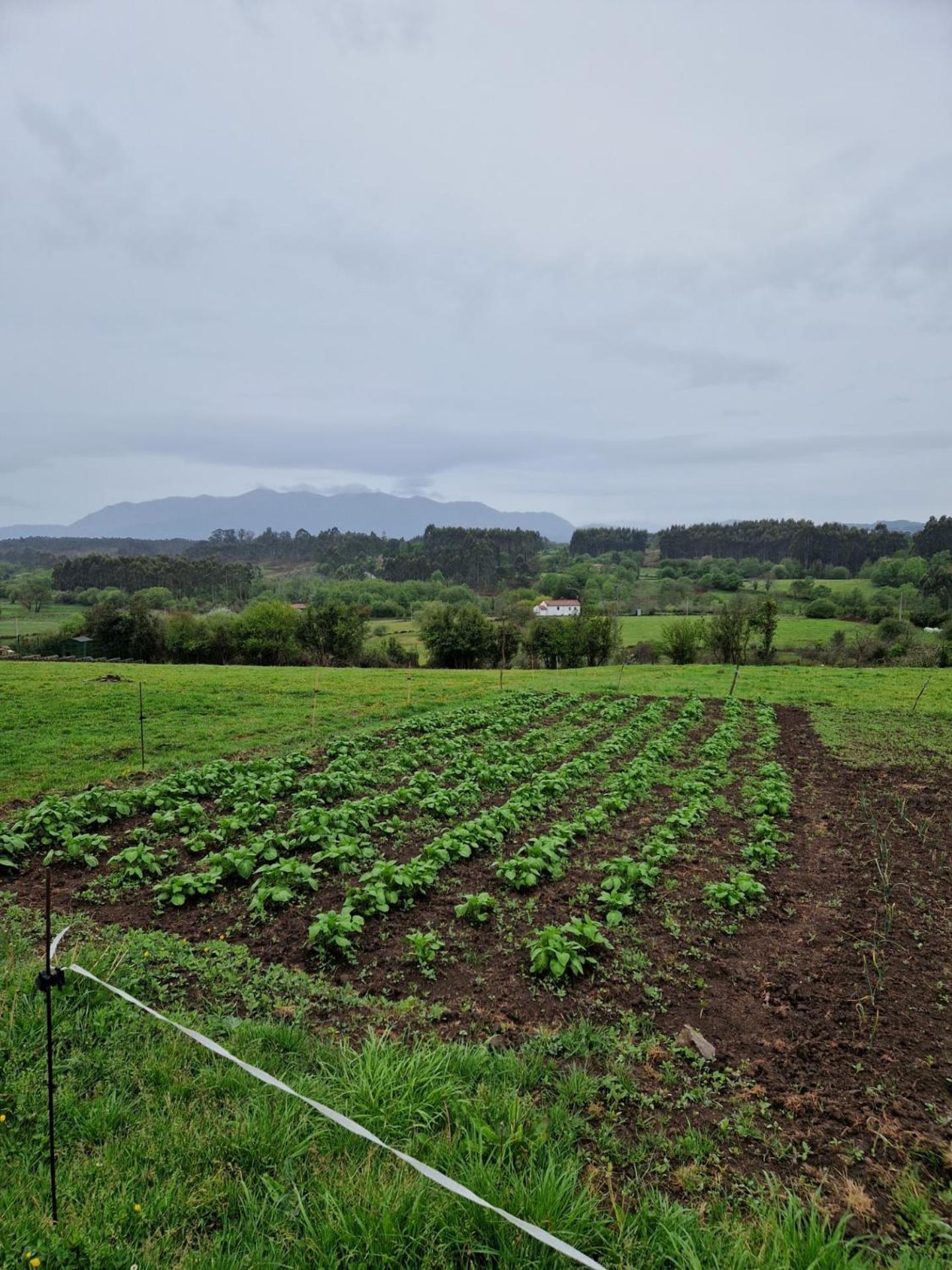 Turismo Rural El Piensu Villaviciosa  Εξωτερικό φωτογραφία