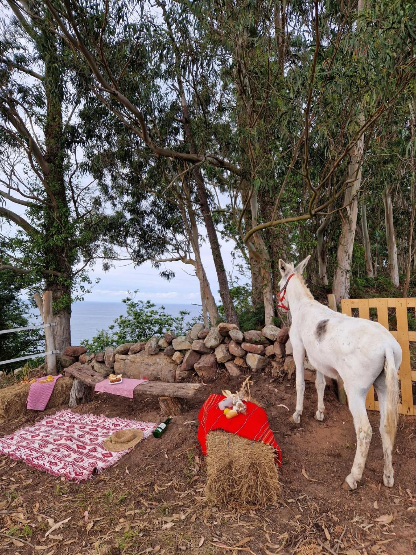 Turismo Rural El Piensu Villaviciosa  Εξωτερικό φωτογραφία